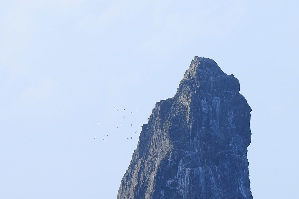 【飛鳥Ⅱ 乗船記】2019年ゴールデンウィーク サイパン・グアムクルーズ 10泊11日 孀婦岩