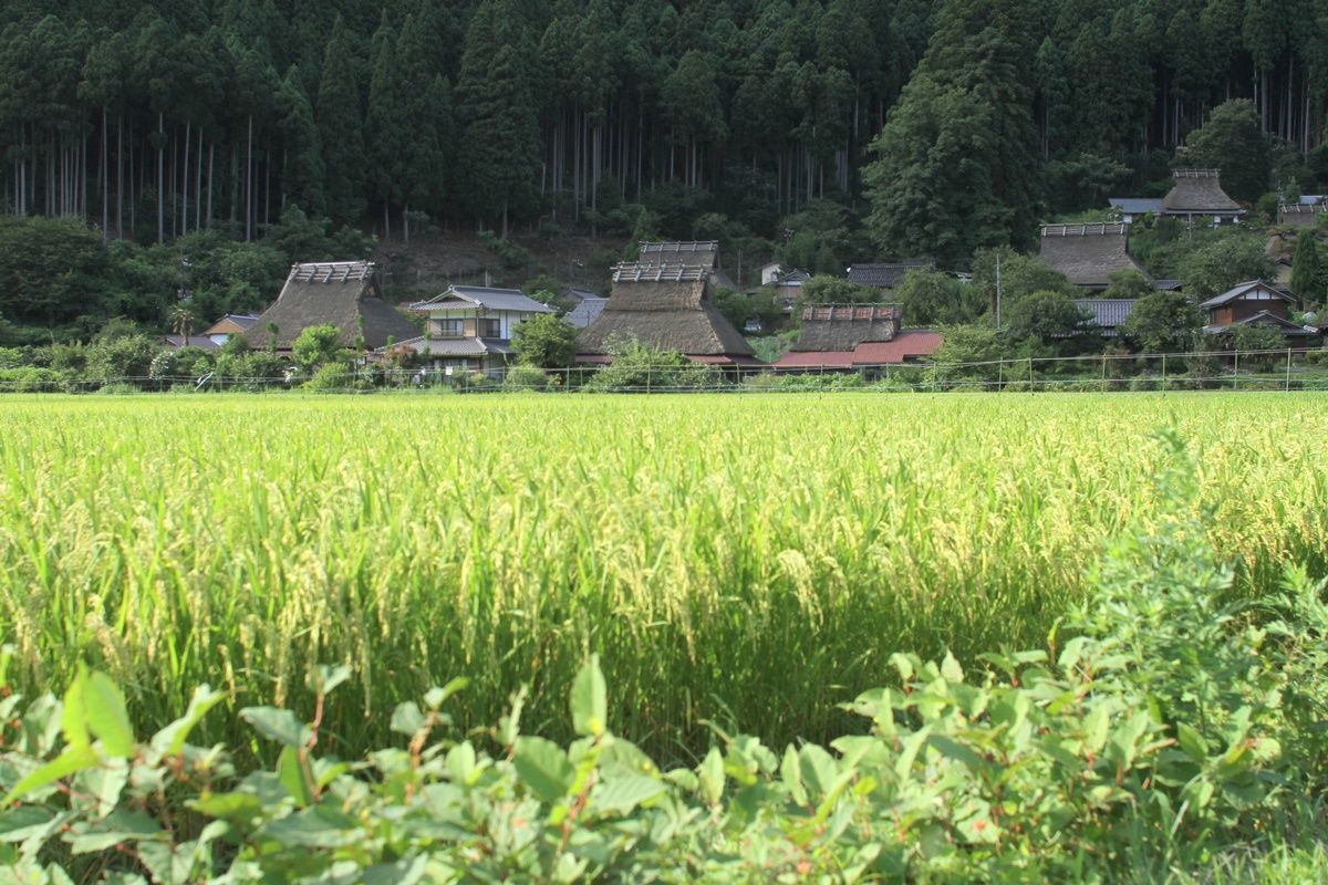 【京都】日吉ダムと美山かやぶきの里観光！2019年あゆ祭り&花火は8月11日
