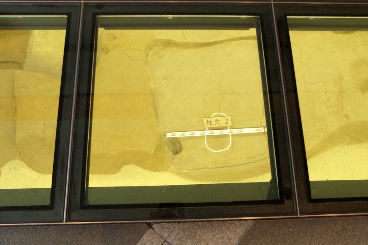 【大阪】歴史博物館『ニャンダフル 浮世絵ねこの世界展』の感想