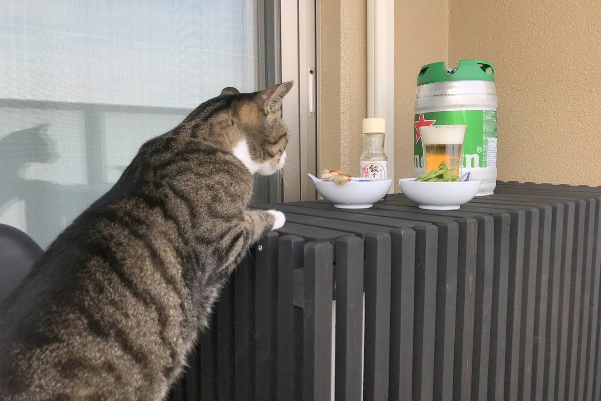 自宅で樽生ビールを楽しめる！ハイネケンのビールサーバー・ドラフトケグを購入