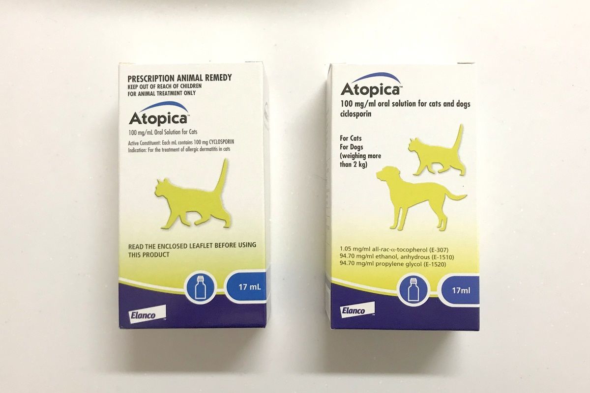 【猫の舐めすぎハゲ対策その9】アトピカを半年間飲ませた効果