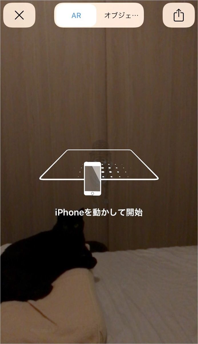 【Google検索】動物ARで3Dの猫を召喚！本物の猫と並べてみました