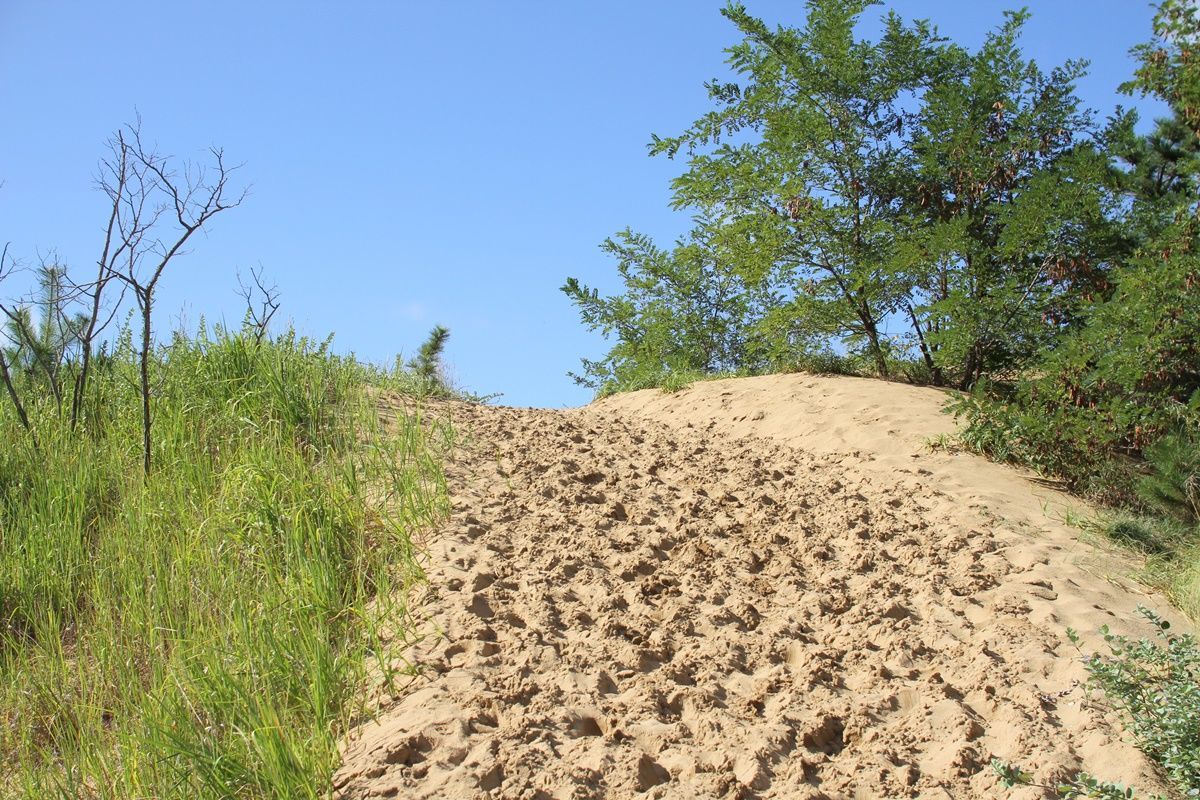 【鳥取】鳥取砂丘を観光する