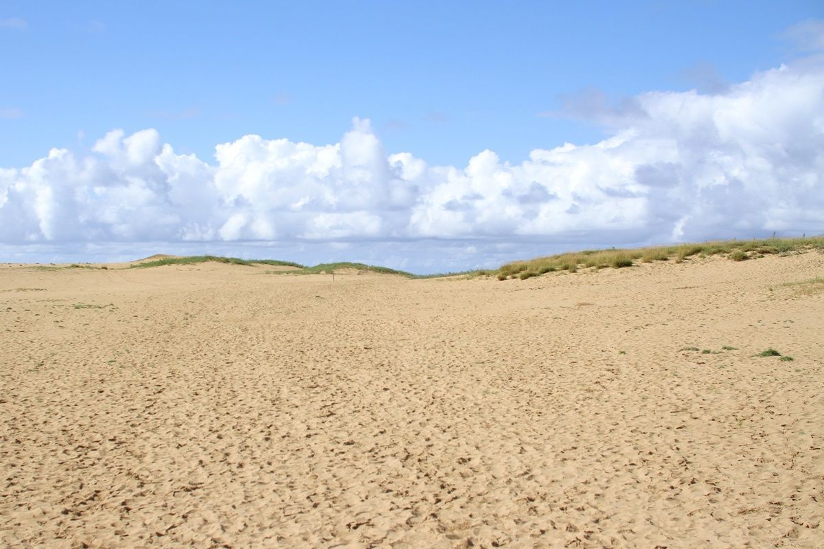 【鳥取】鳥取砂丘を観光する