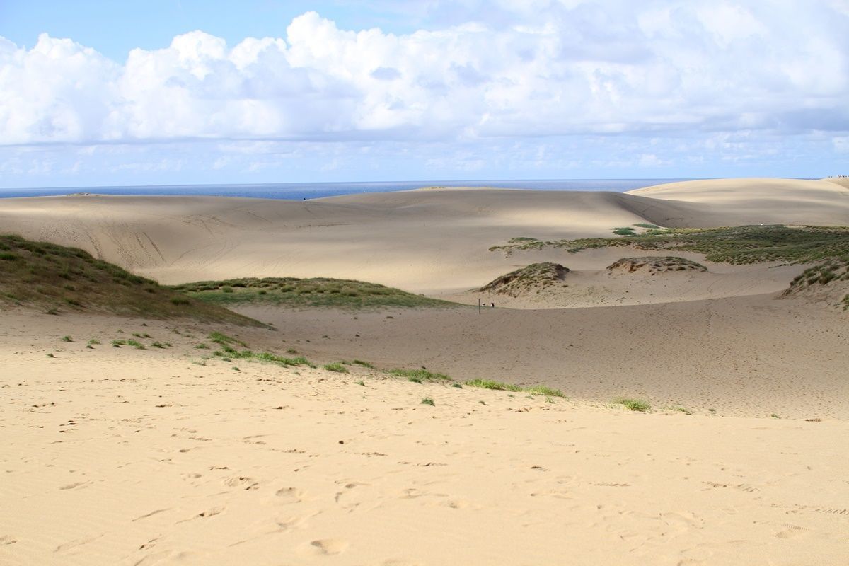 【鳥取】鳥取砂丘を観光する