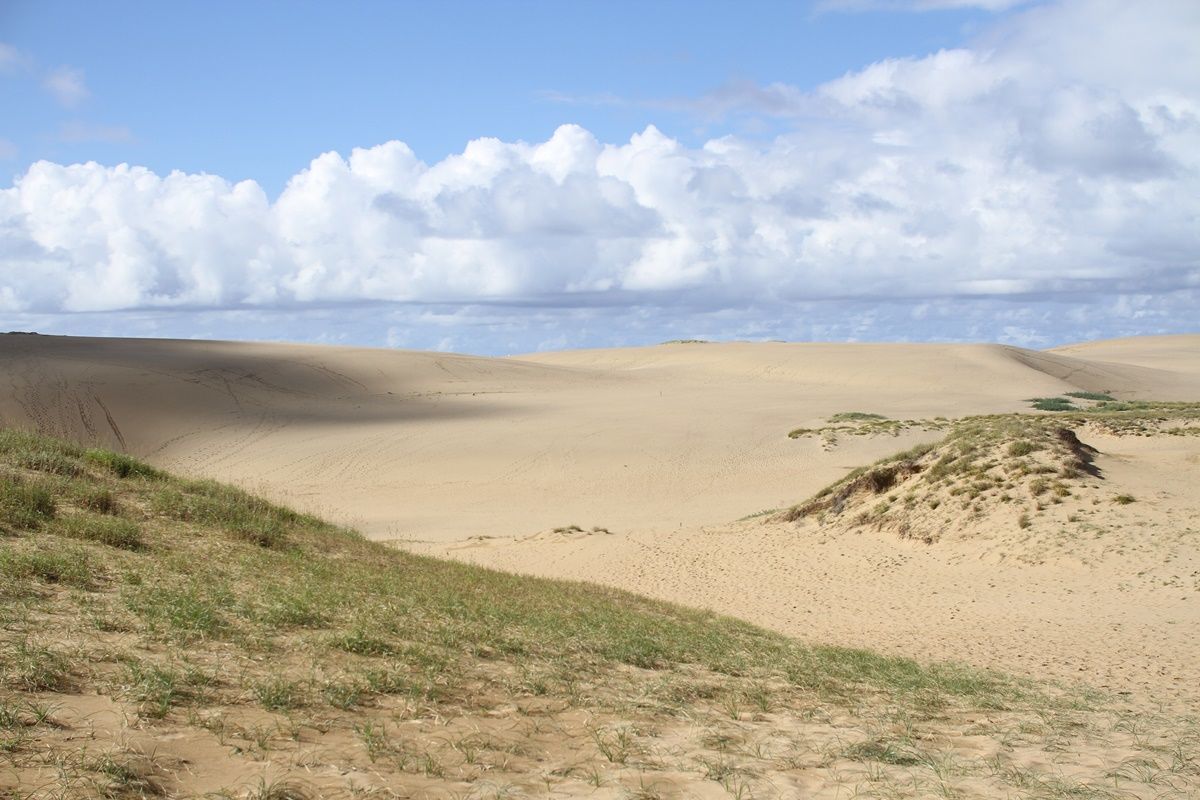 【鳥取】鳥取砂丘を観光する