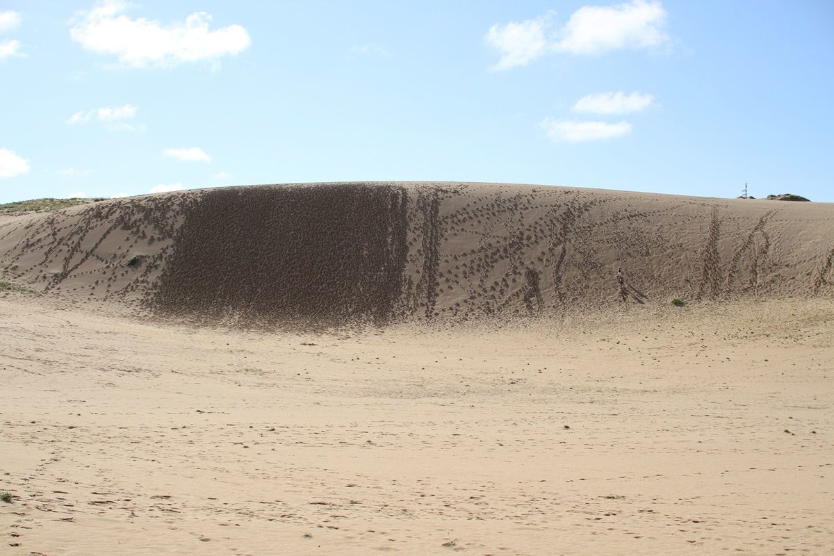 【鳥取】鳥取砂丘を観光する