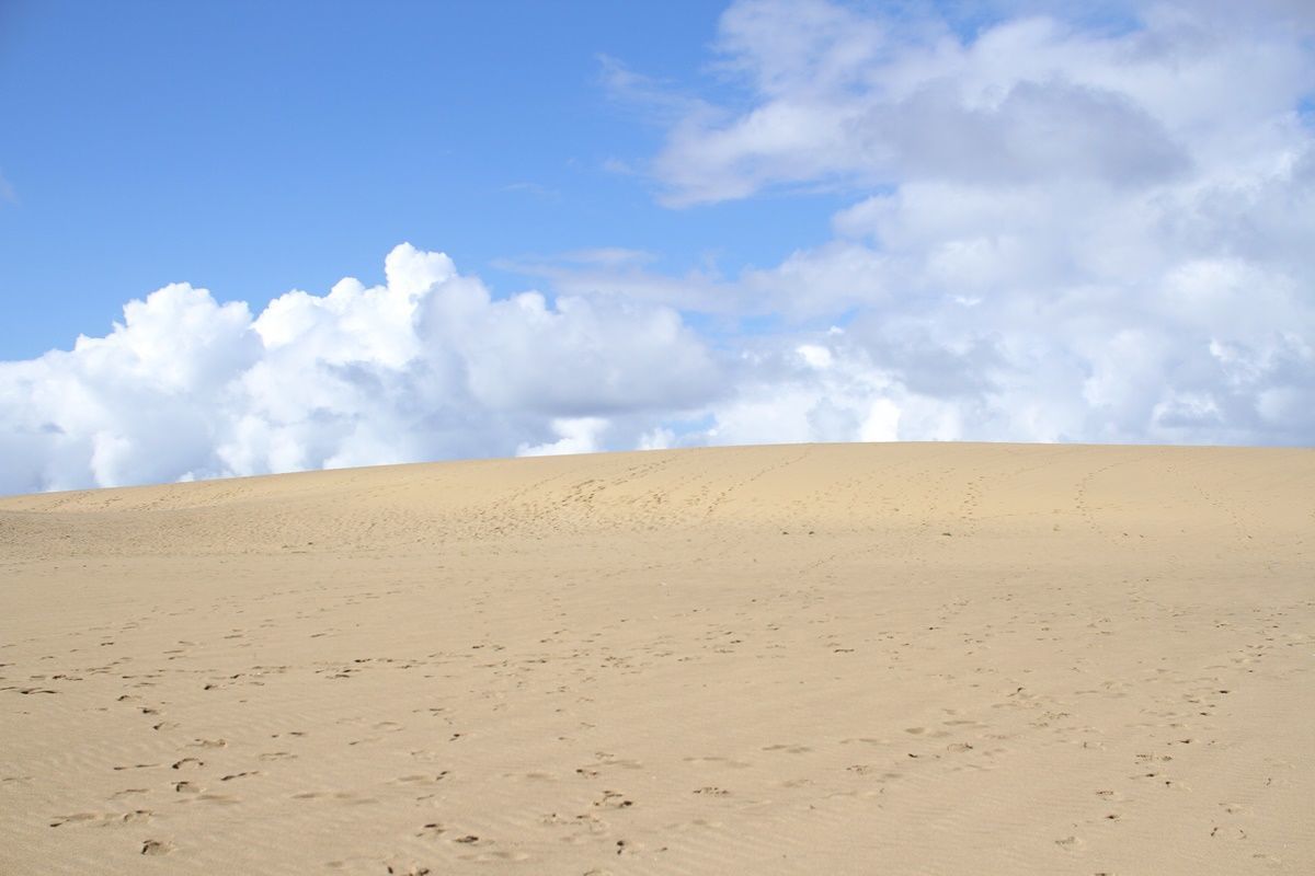 【鳥取】鳥取砂丘を観光する