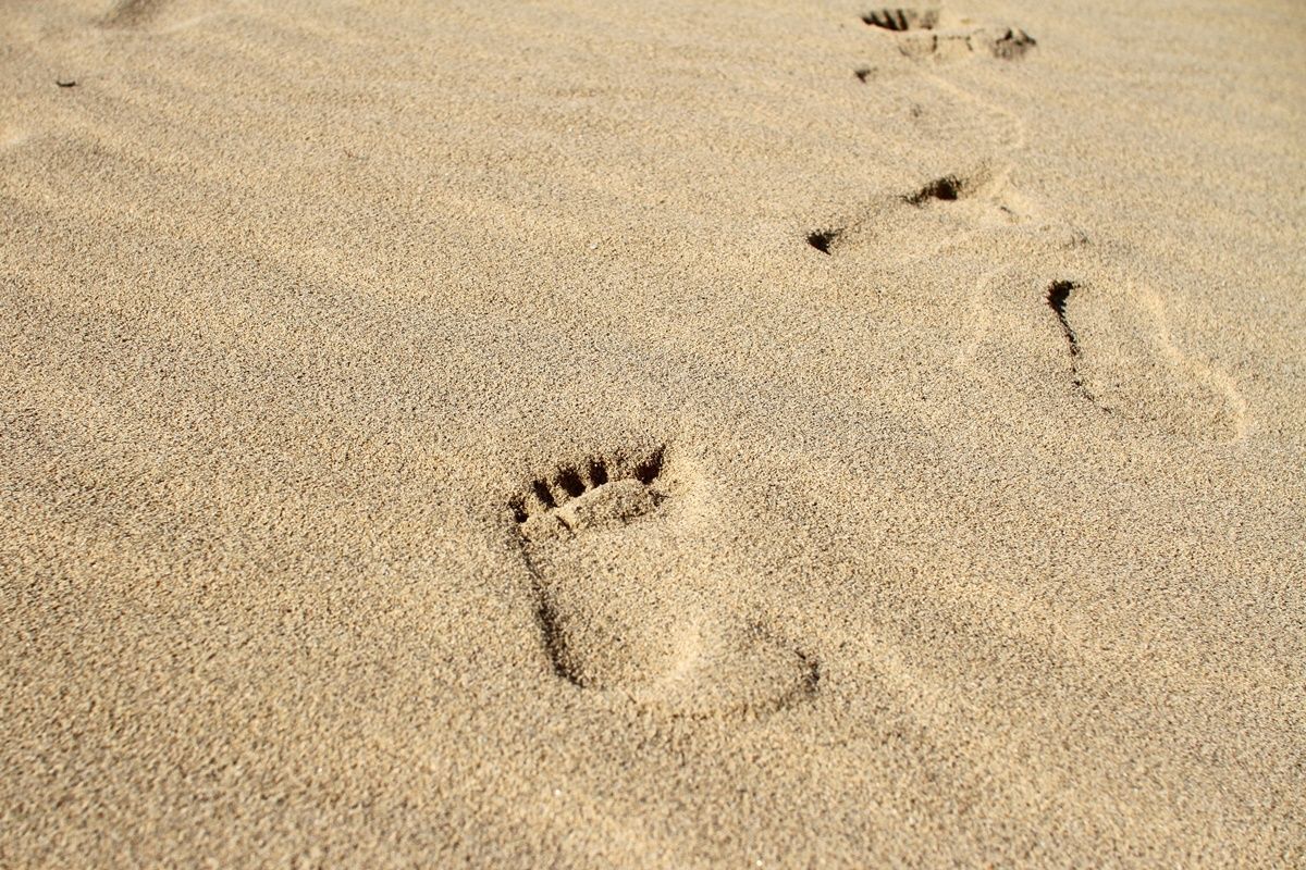 【鳥取】鳥取砂丘を観光する