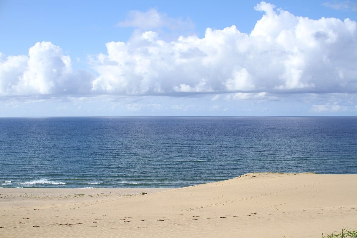 【鳥取】鳥取砂丘を観光する
