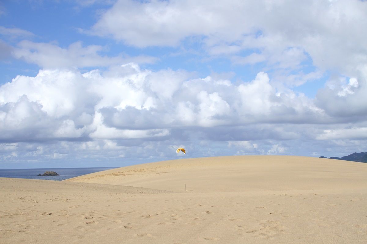 【鳥取】鳥取砂丘を観光する