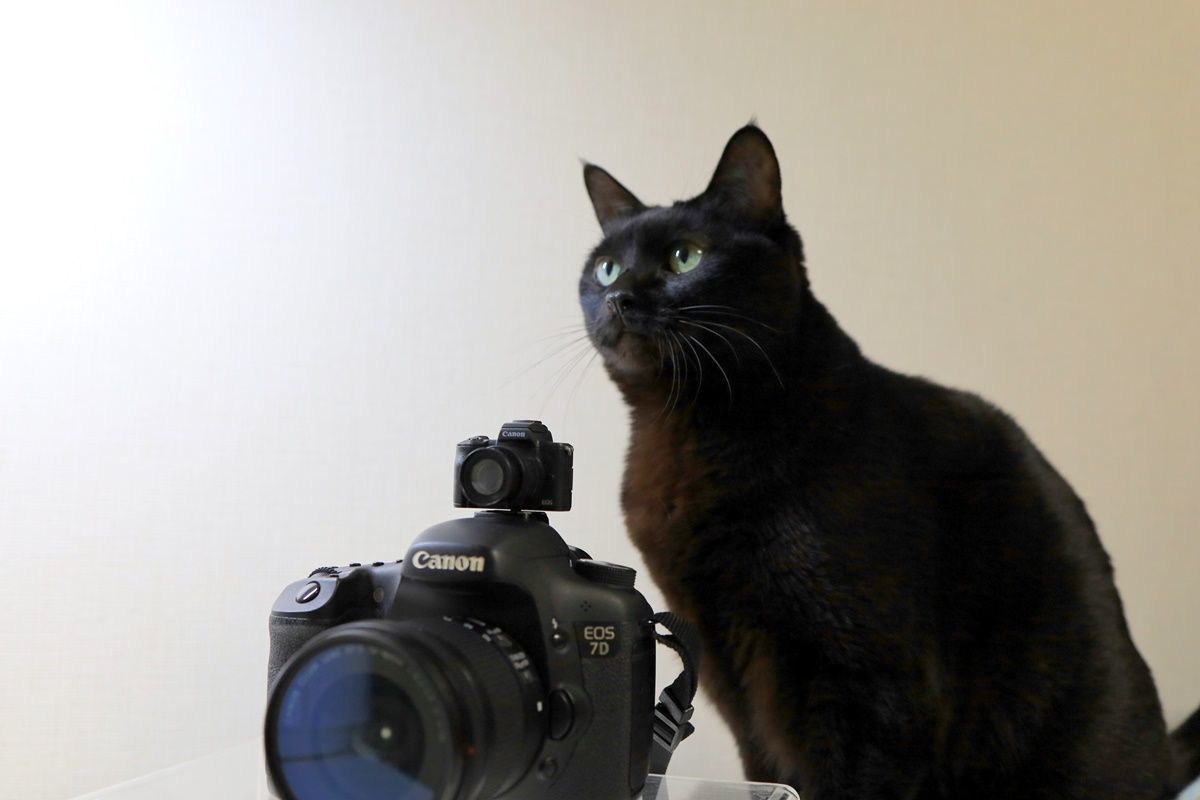 ガチャポンで一眼レフカメラ『Canon EOS Kiss M』をGET!