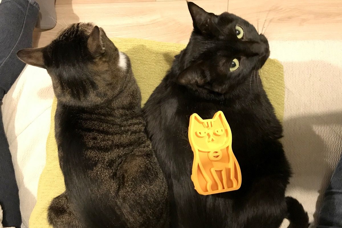 可愛い猫型シリコンブラシ『iCat UTTORAJI』を買いました