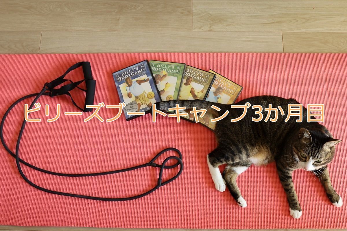 ダイエット記録 ビリーズブートキャンプ入隊3か月目 外出自粛で頻度アップ Djモペのねこまんま