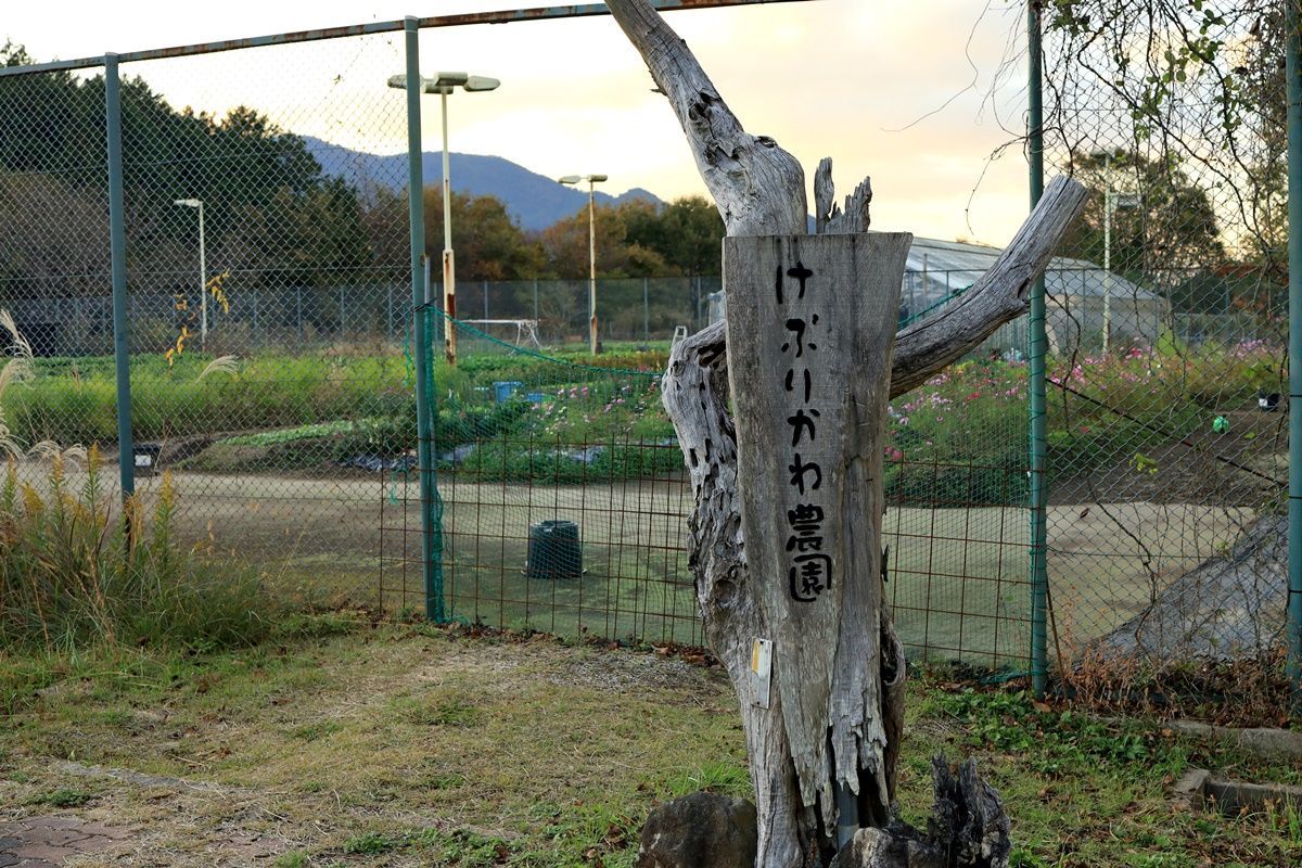 【京都・亀岡】湯の花温泉の宿『烟河（けぶりかわ）』に宿泊