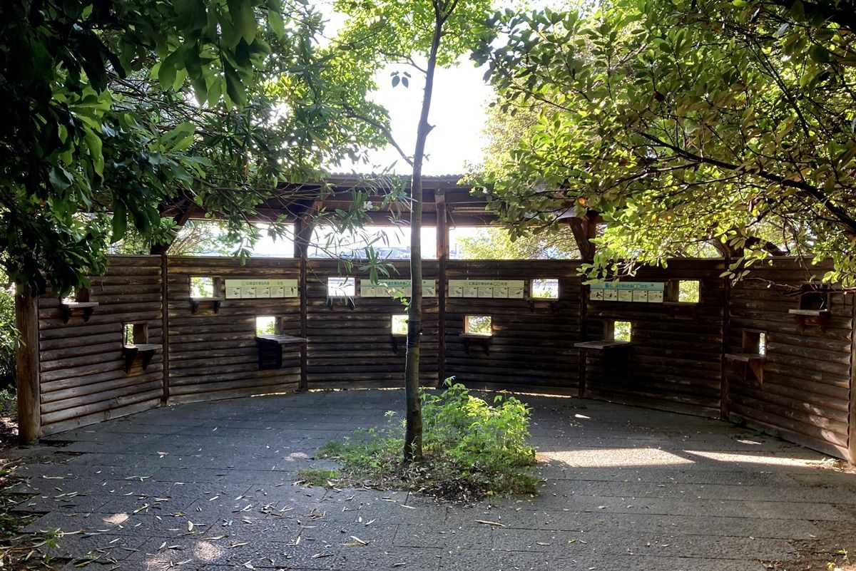 【大阪】都会の秘境!?淀川の終点『矢倉緑地公園』に行きました
