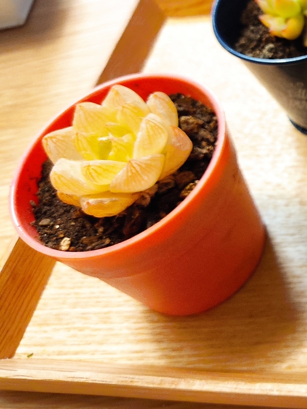 f:id:dj-naonao:20210907181245j:plain