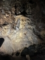20250728171646