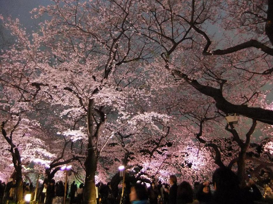 f:id:dj19:20100405223514j:image:w600