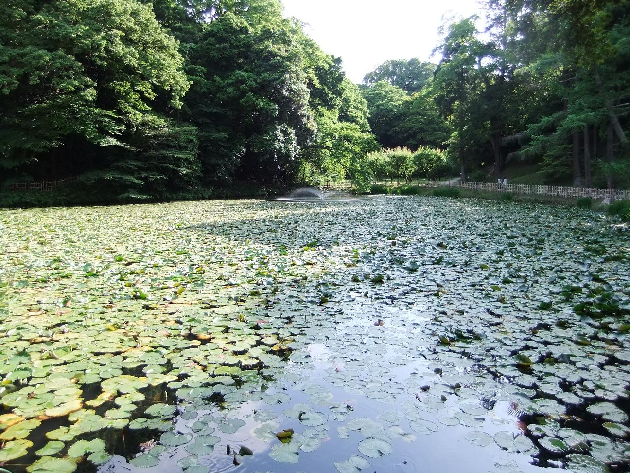 f:id:dj19:20100622221920j:image:w500
