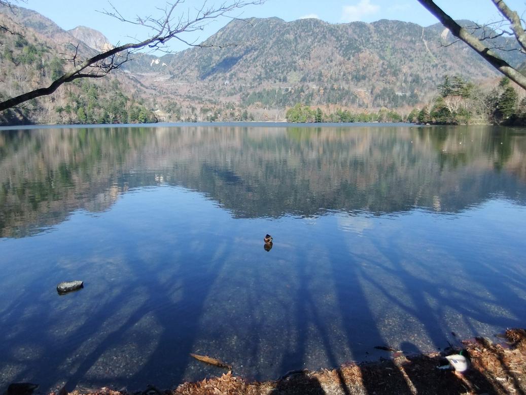 f:id:dj19:20111107231623j:image:w600