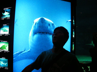 f:id:djapon:20090925125824j:image