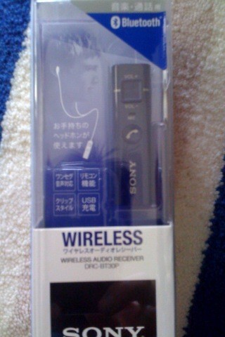 f:id:djapon:20100201205139j:image:left