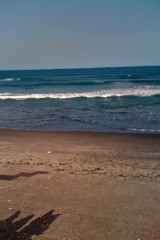 f:id:djapon:20100604232346j:image:left