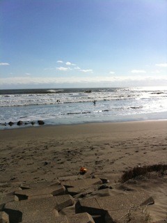 f:id:djapon:20101124115804j:image:left