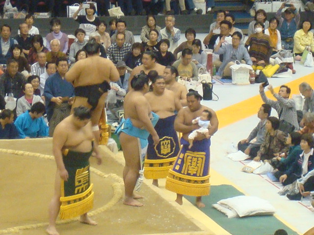 イメージ 6