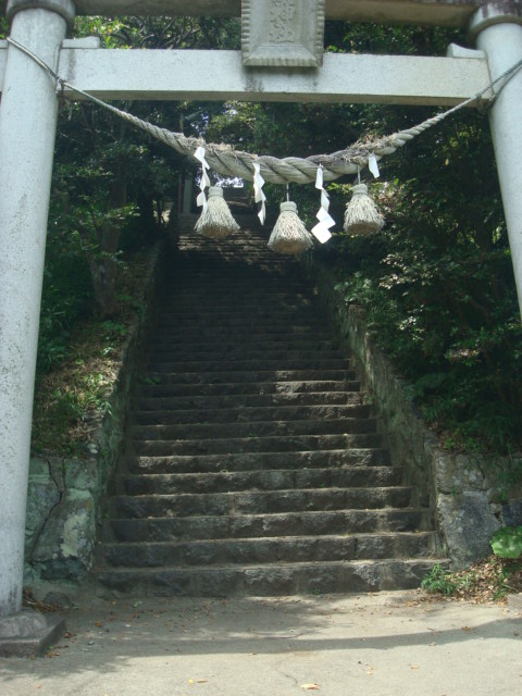 イメージ 7