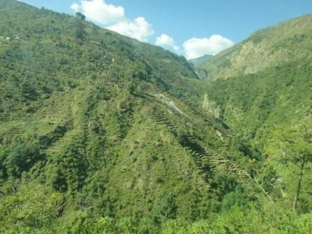 f:id:djebel55:20101211160020j:image