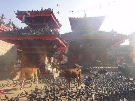 f:id:djebel55:20101212132141j:image