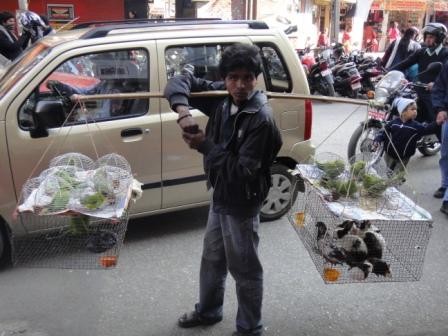 f:id:djebel55:20101212164909j:image