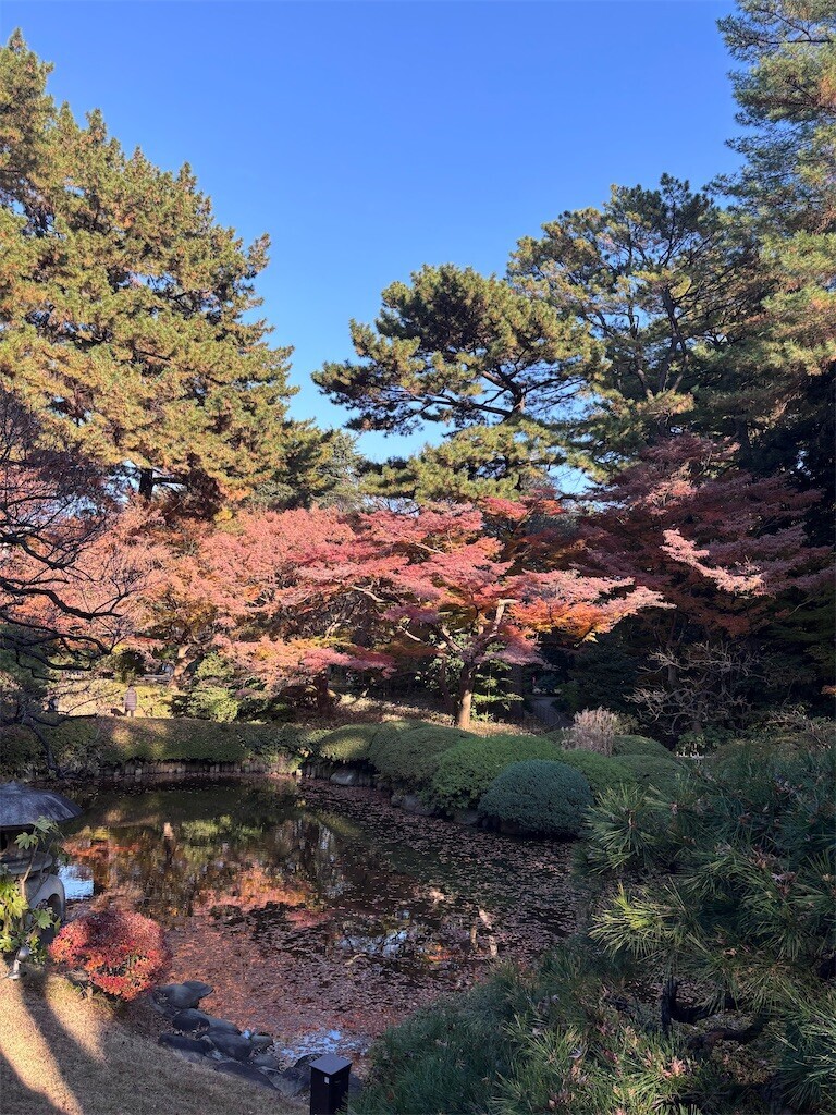 f:id:dji:20251211194722j:image f:id:dji:20251211194722j:image