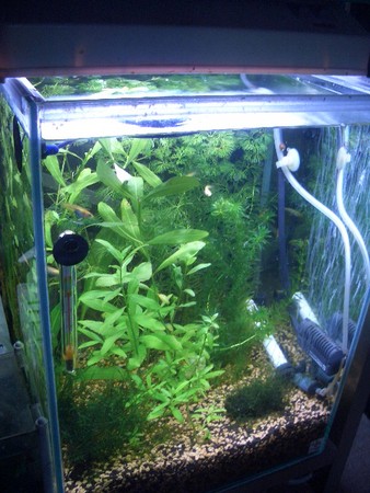 f:id:djkobe:20080311231341j:image f:id:djkobe:20080311231341j:image
