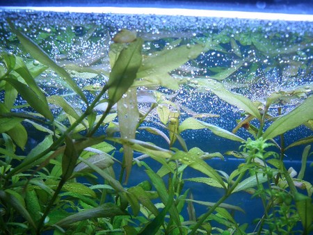 f:id:djkobe:20080319221043j:image f:id:djkobe:20080319221043j:image