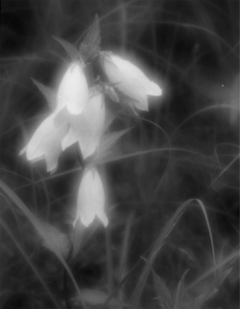 f:id:djmasahiro777:20230510211143j:image f:id:djmasahiro777:20230510211143j:image