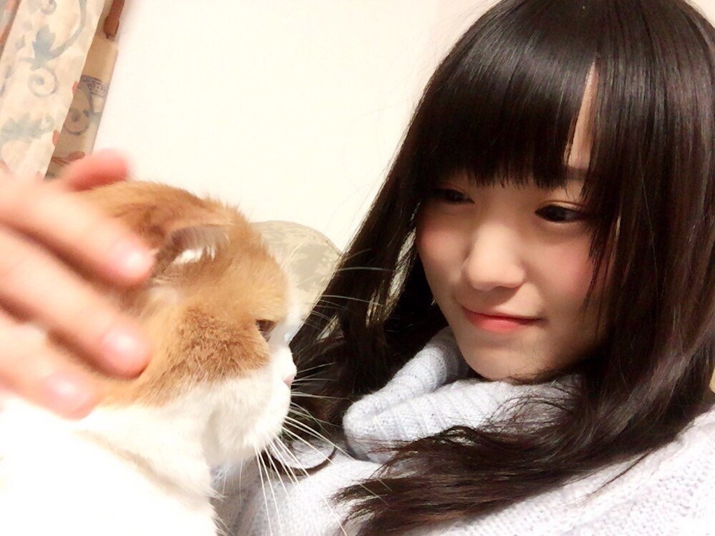f:id:djomn:20170702135526j:image f:id:djomn:20170702135526j:image