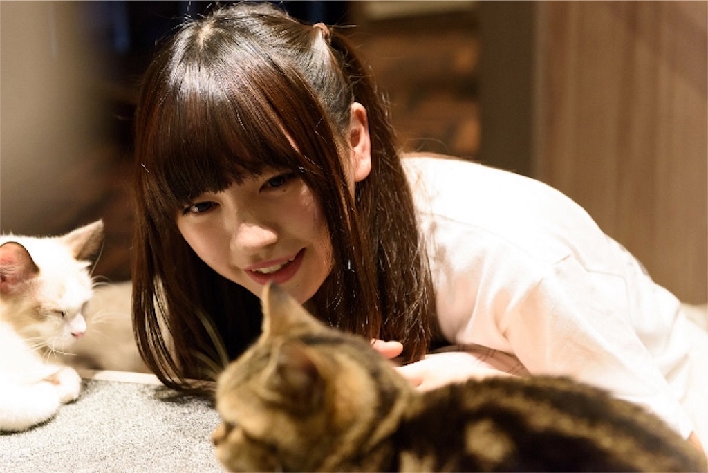 f:id:djomn:20170702141441j:image f:id:djomn:20170702141441j:image
