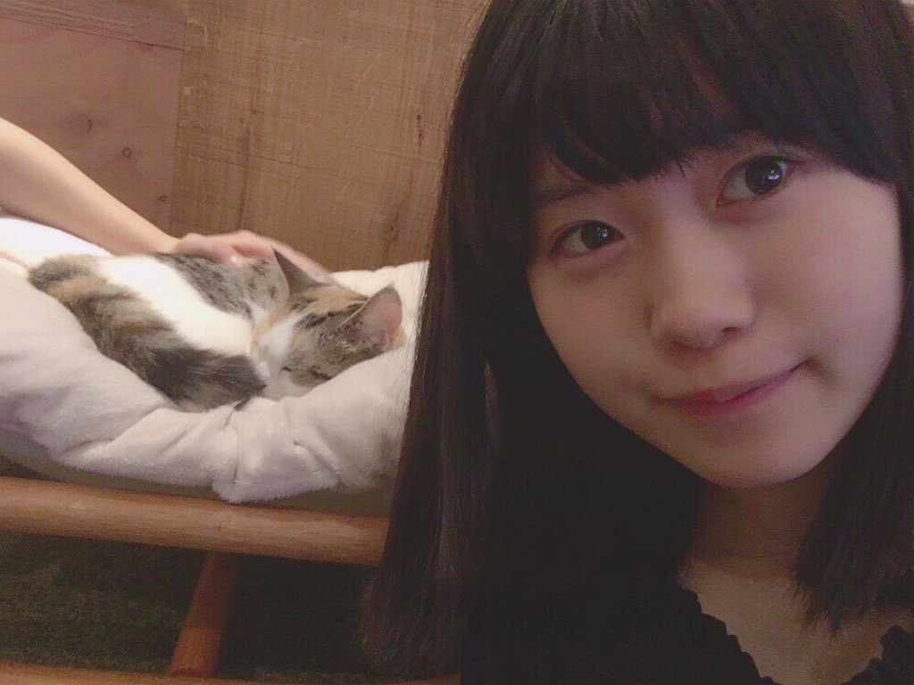 f:id:djomn:20170702141634j:image f:id:djomn:20170702141634j:image