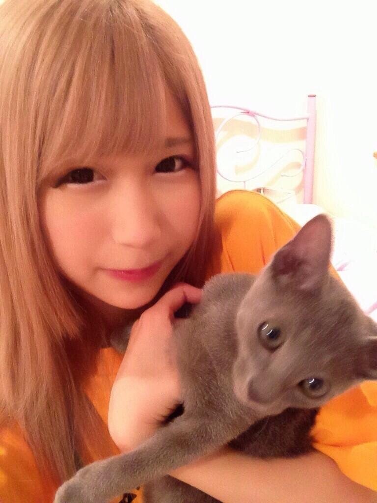 f:id:djomn:20170702143055j:image f:id:djomn:20170702143055j:image