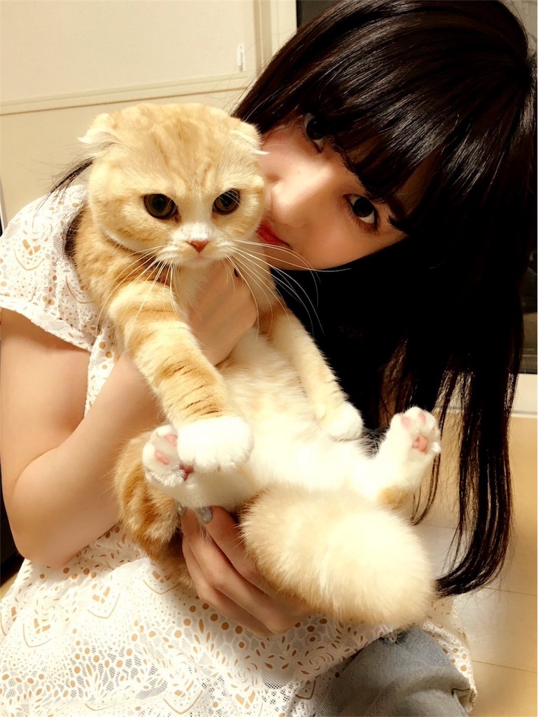 f:id:djomn:20170702144040j:image f:id:djomn:20170702144040j:image