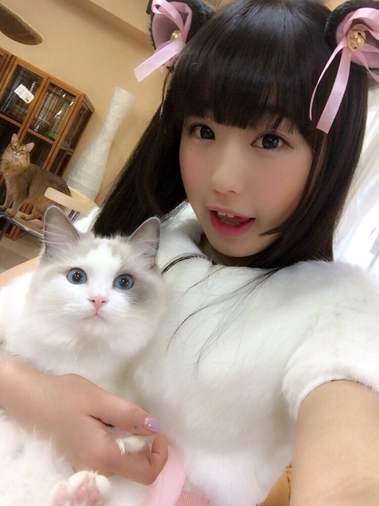 f:id:djomn:20170702144550j:image f:id:djomn:20170702144550j:image