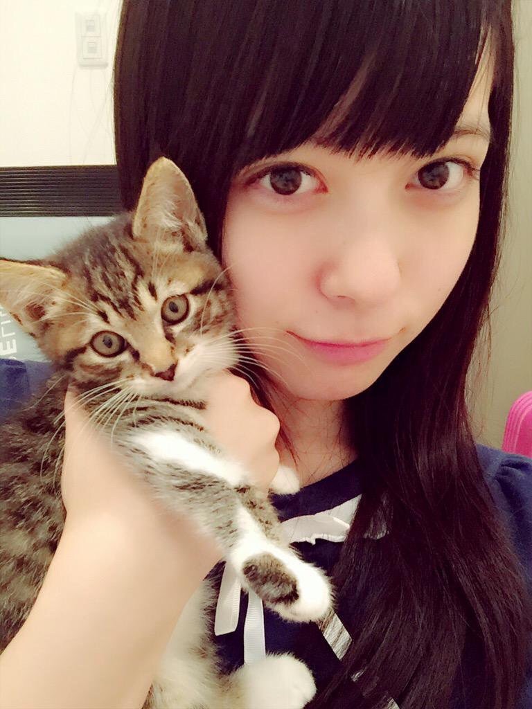 f:id:djomn:20170702144636j:image f:id:djomn:20170702144636j:image