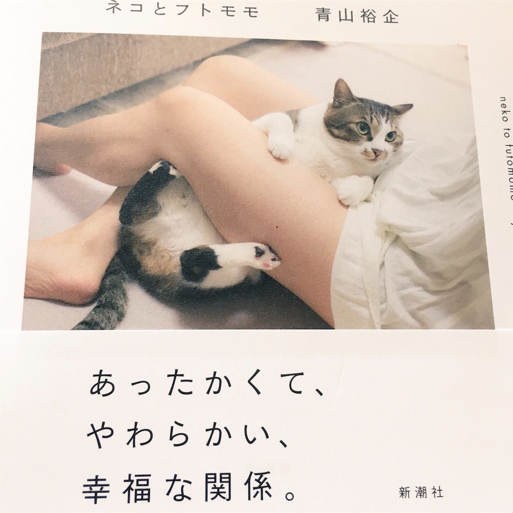 f:id:djomn:20170702150303j:image f:id:djomn:20170702150303j:image