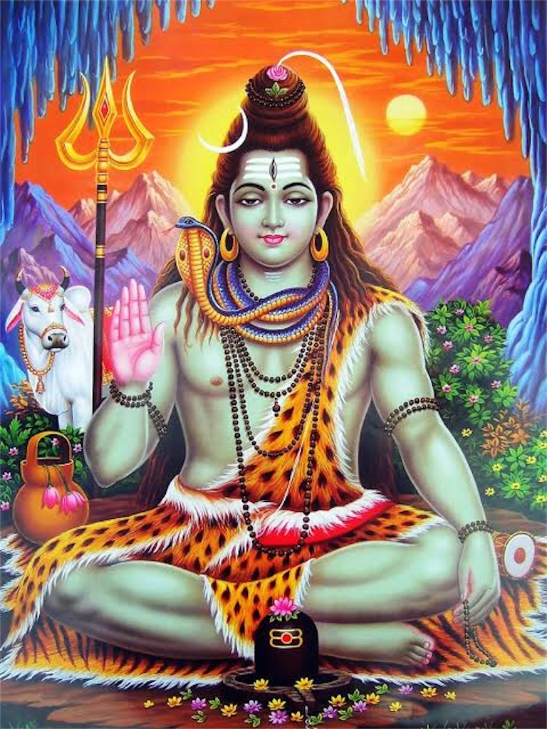 f:id:djomn:20220115184416j:image f:id:djomn:20220115184416j:image