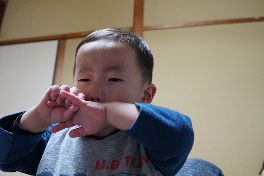 f:id:djrkmrym:20181130093214j:plain