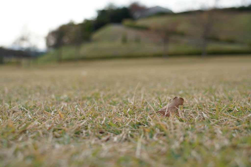 f:id:djrkmrym:20181130101057j:plain