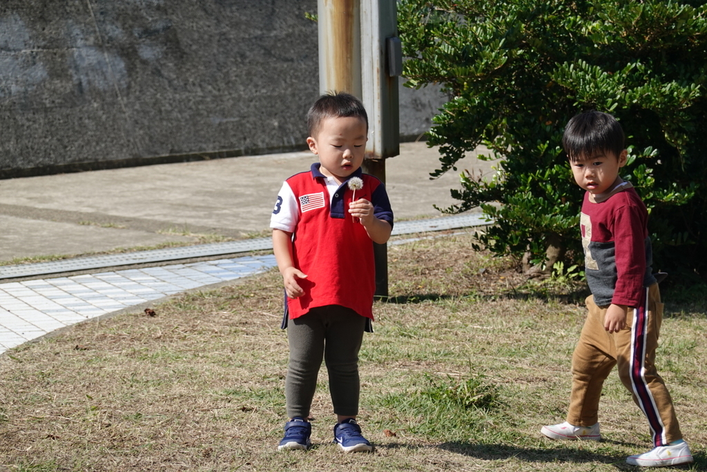 f:id:djrkmrym:20181228000842j:plain